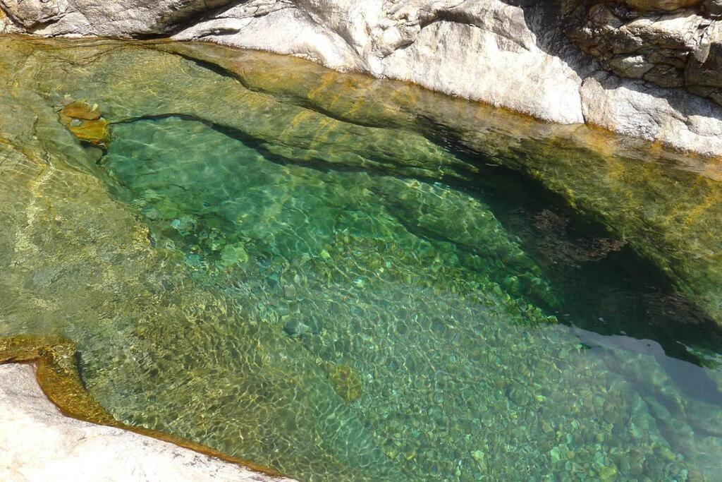 Le Capu Biancu-Location Avec Vue Proche Des Gorges De L Asco Entre Mer Et Montagne Moltifao ภายนอก รูปภาพ