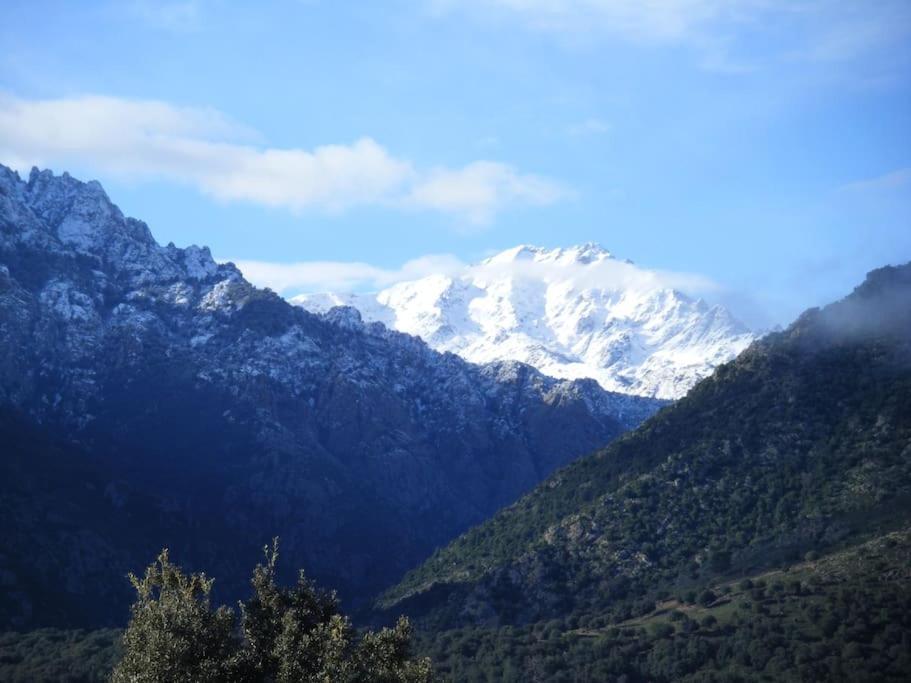 Le Capu Biancu-Location Avec Vue Proche Des Gorges De L Asco Entre Mer Et Montagne Moltifao ภายนอก รูปภาพ